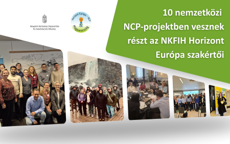 NCP projektek